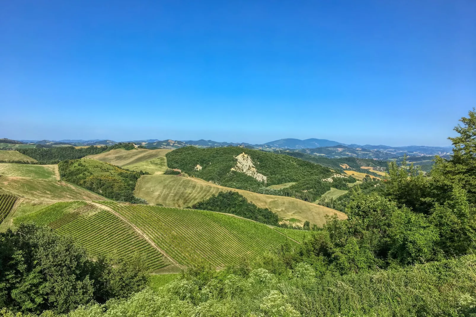 Borgo Cinque