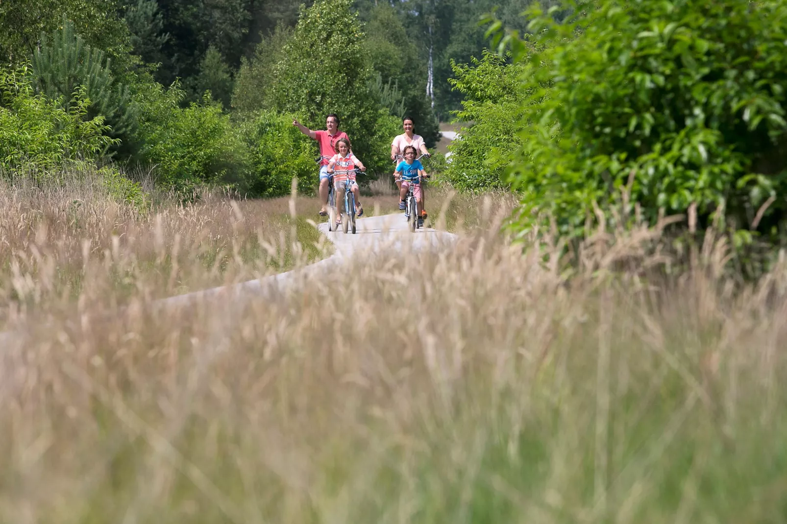 Resort De Achterhoek 4-Gebieden zomer 1km