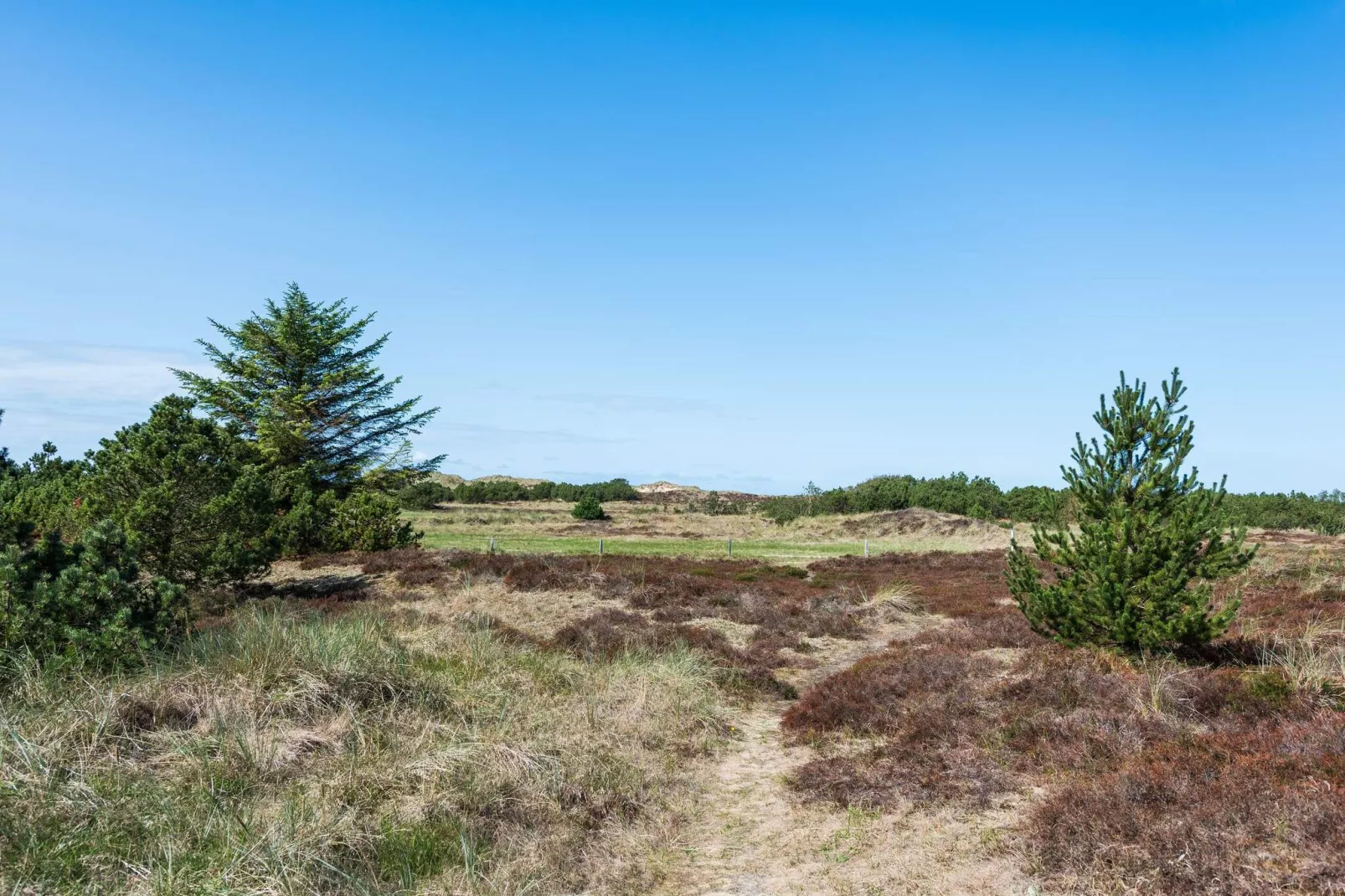 6 persoons vakantie huis in Blåvand-Niet-getagd