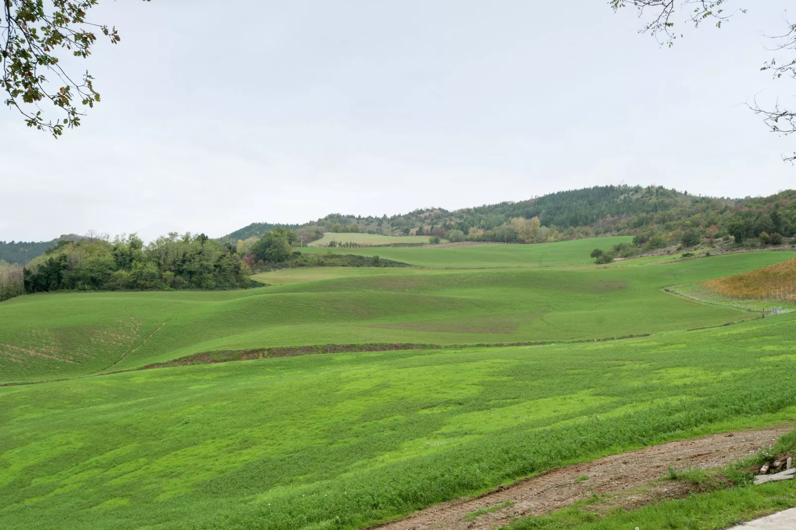 Borgata Porpora Due - Gebieden zomer 5km