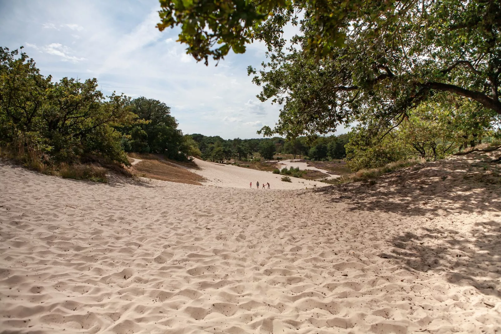 Vakantiepark Sandberghe 5-Gebieden zomer 1km