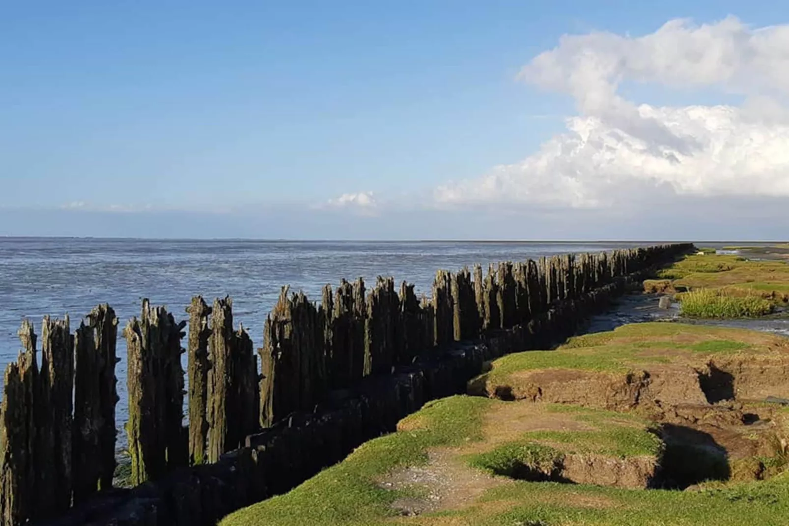 Waddenhuisjes Paesens-Gebieden zomer 1km