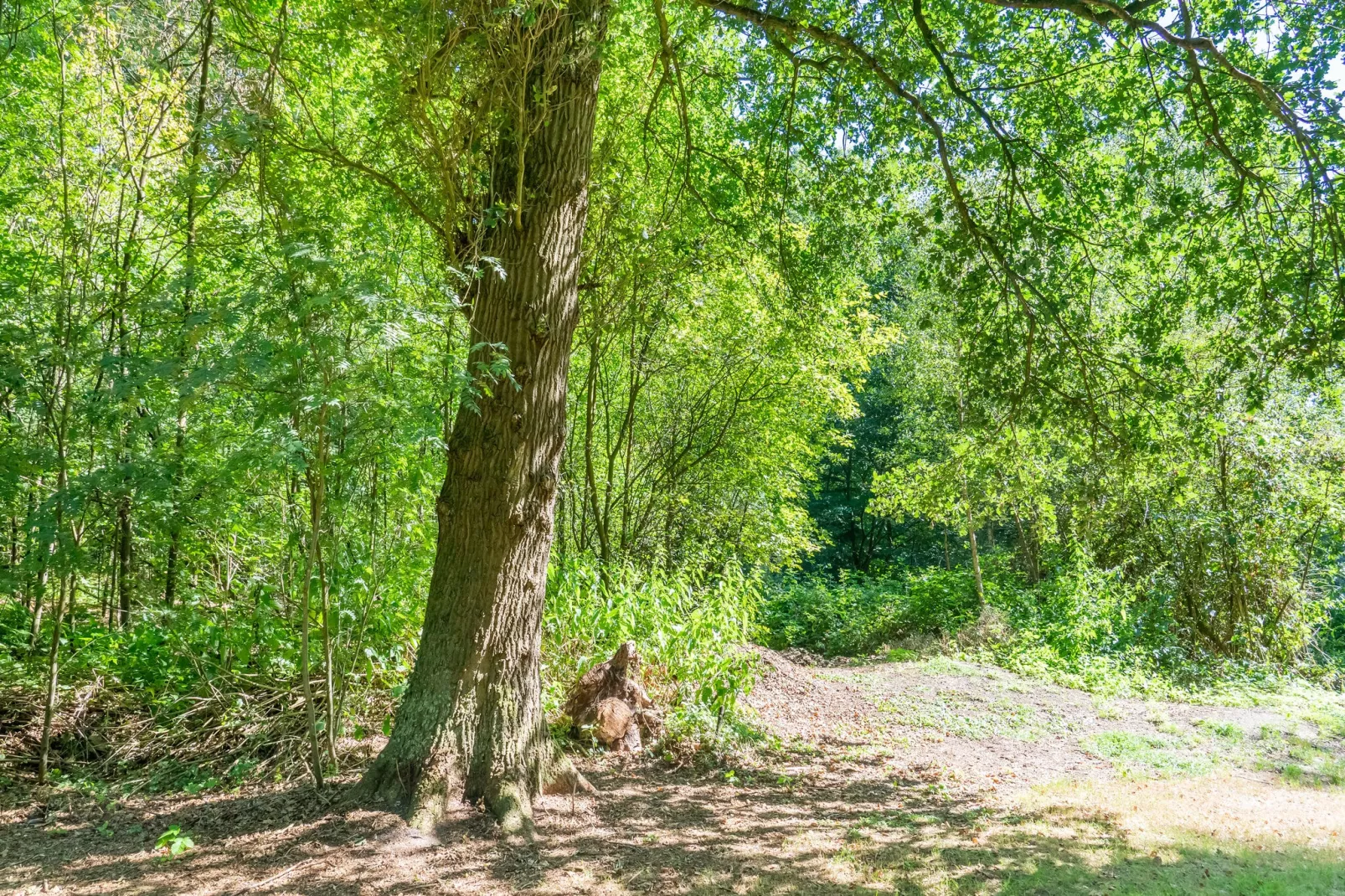 Boschhuis Boucle-Gebieden zomer 5km