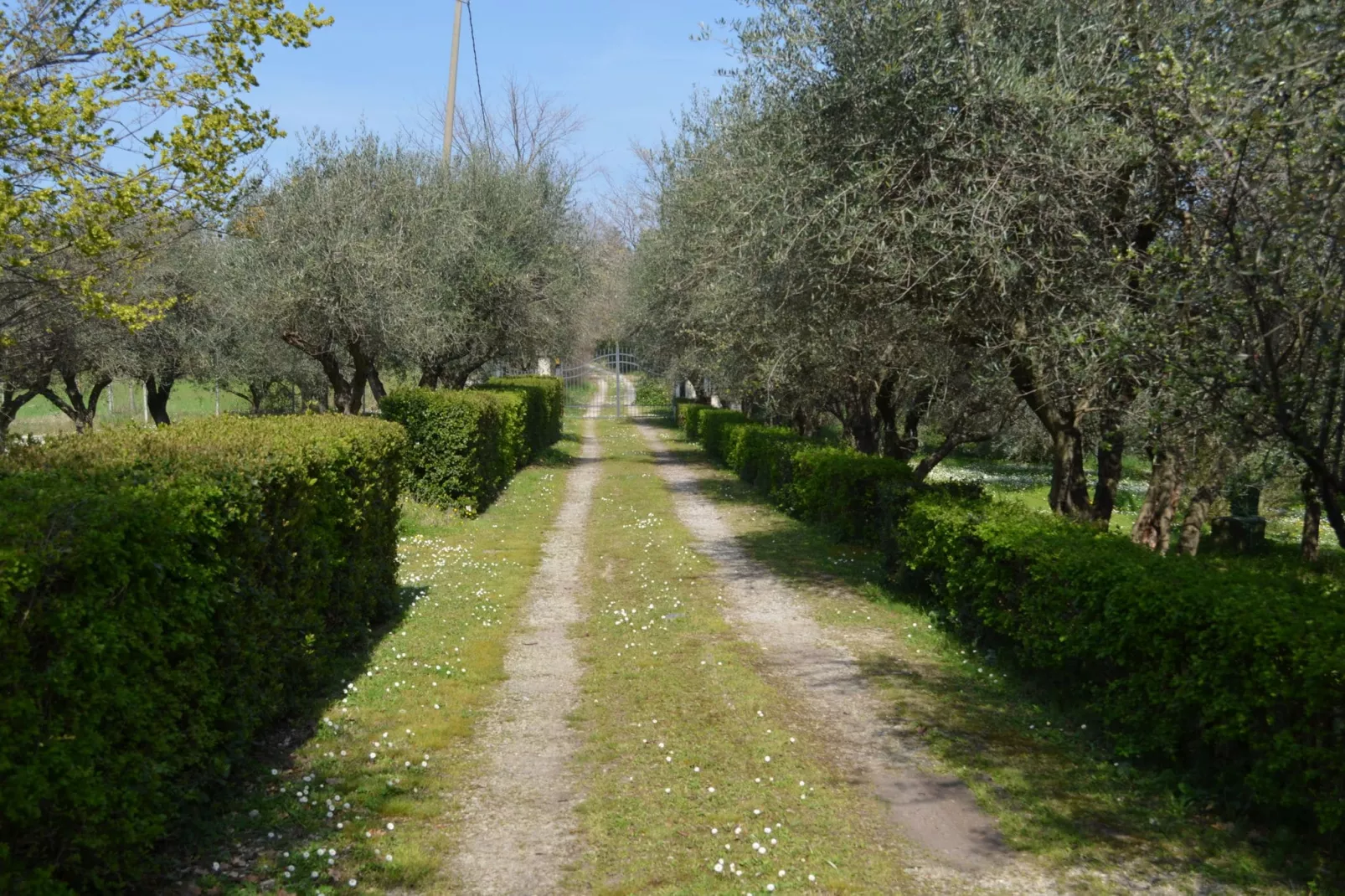 Villa degli Ulivi-Tuinen zomer