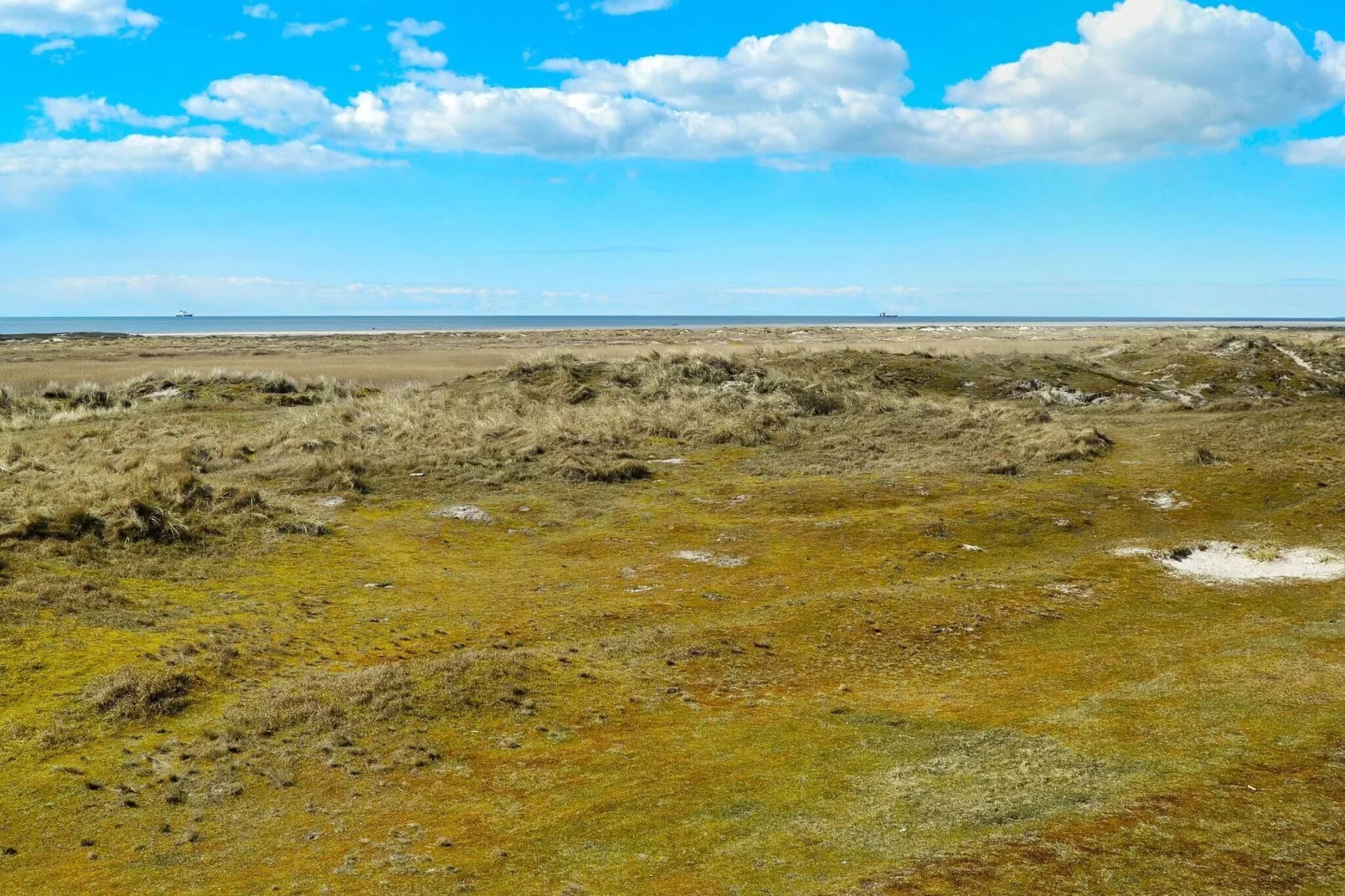 4 persoons vakantie huis in Fanø-By Traum-Buitenlucht