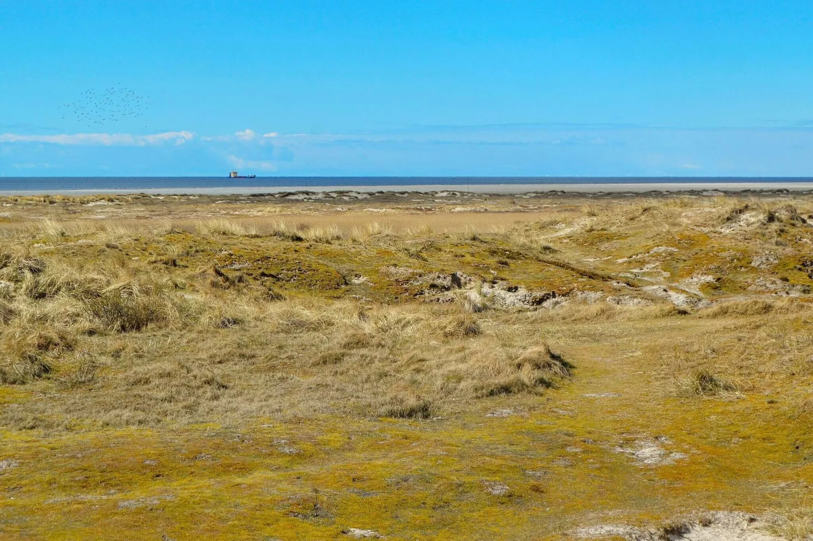 4 persoons vakantie huis in Fanø-By Traum-Buitenlucht