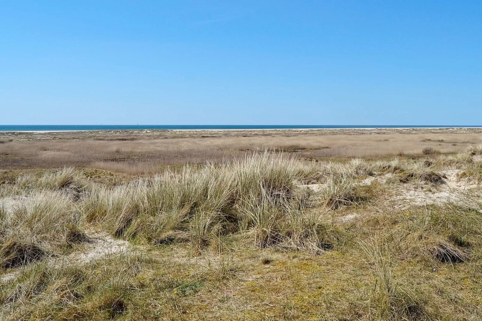 4 persoons vakantie huis in Fanø-By Traum-Buitenlucht