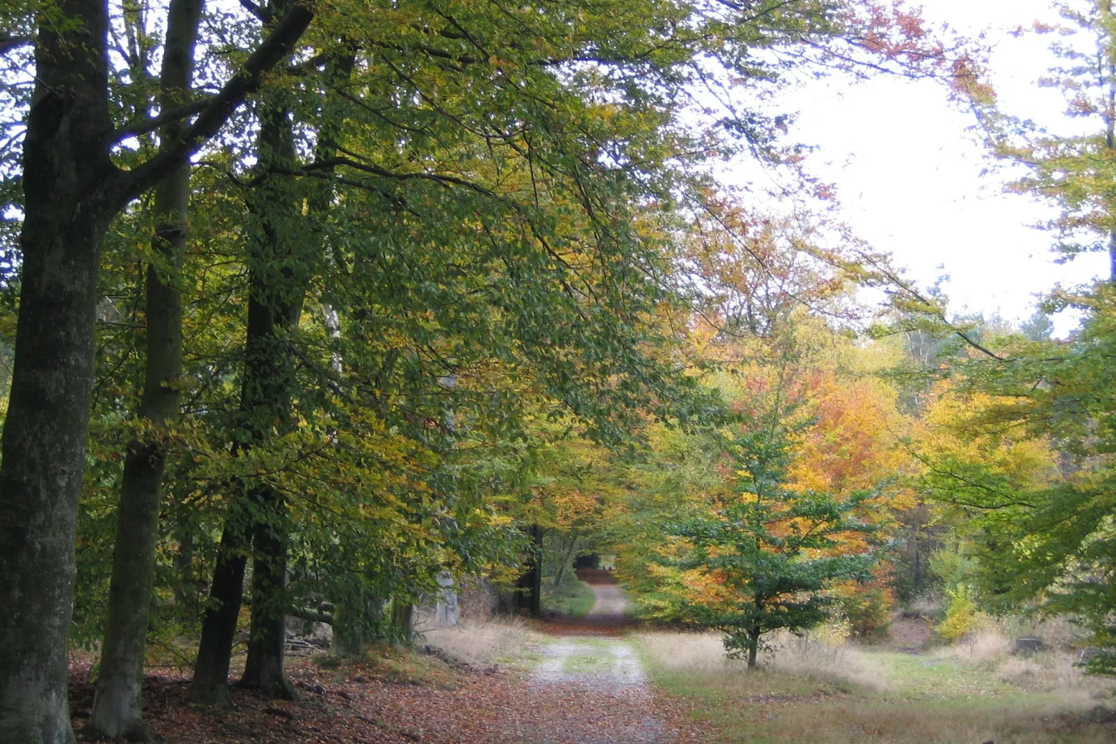 Bungalowpark Hoenderloo 2-Gebieden zomer 1km