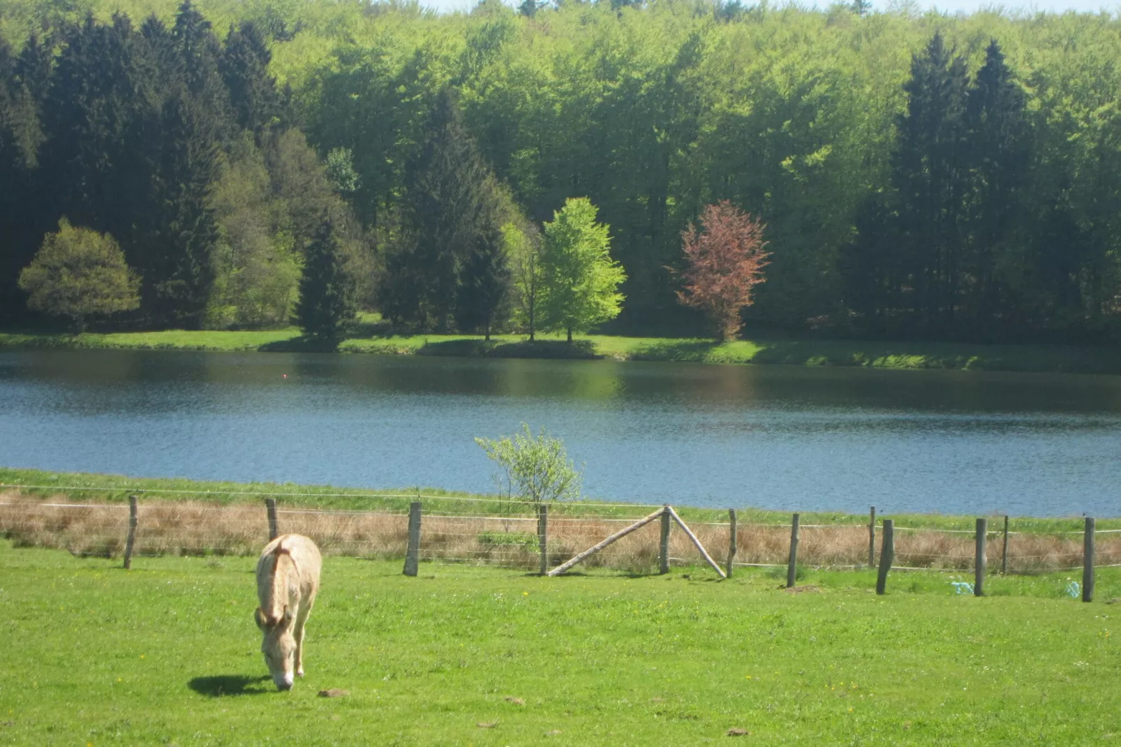 Le Chalet Likthuus-Gebieden zomer 1km