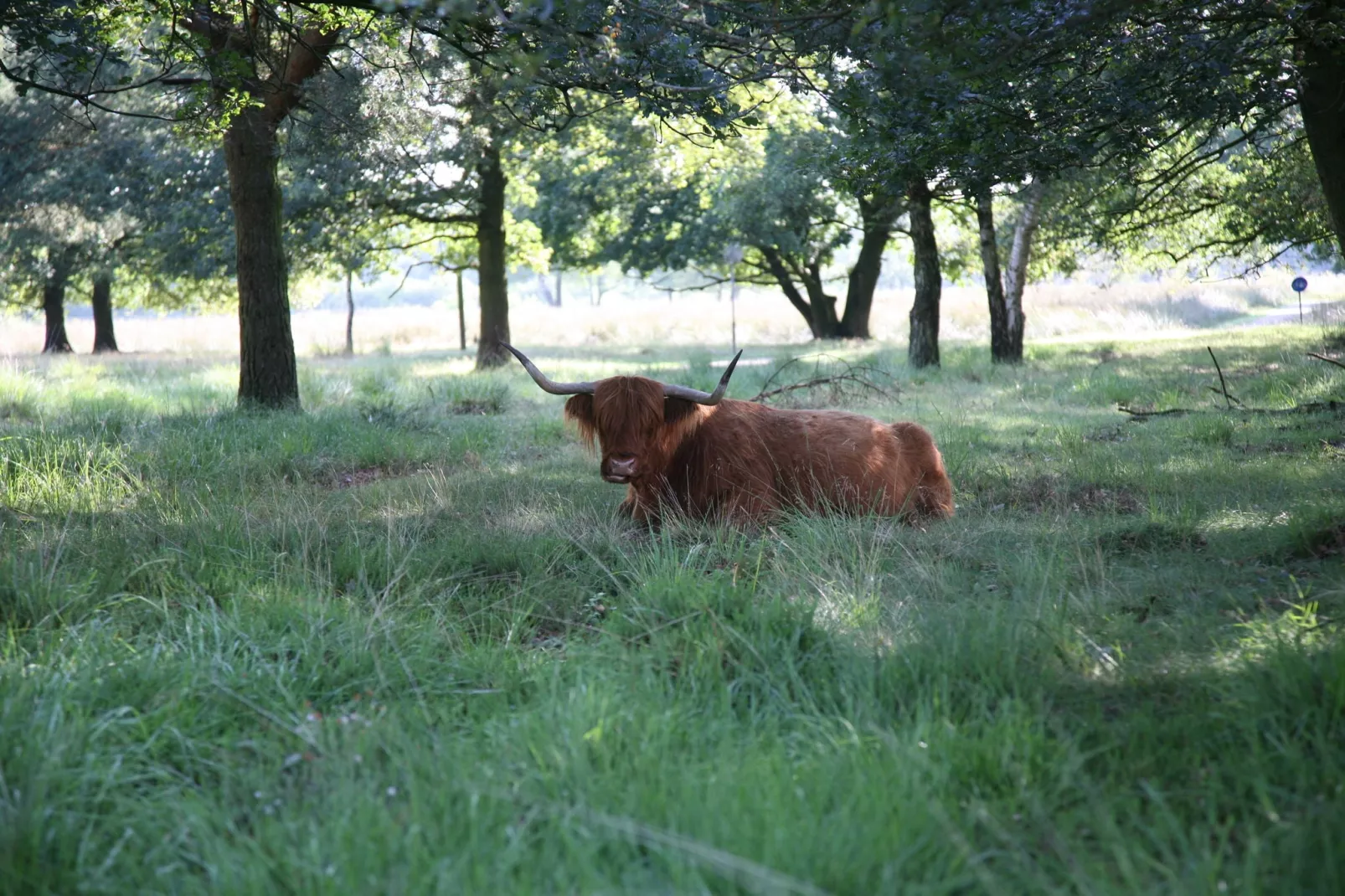 Landgoed Het Grote Zand 3-Gebieden zomer 5km