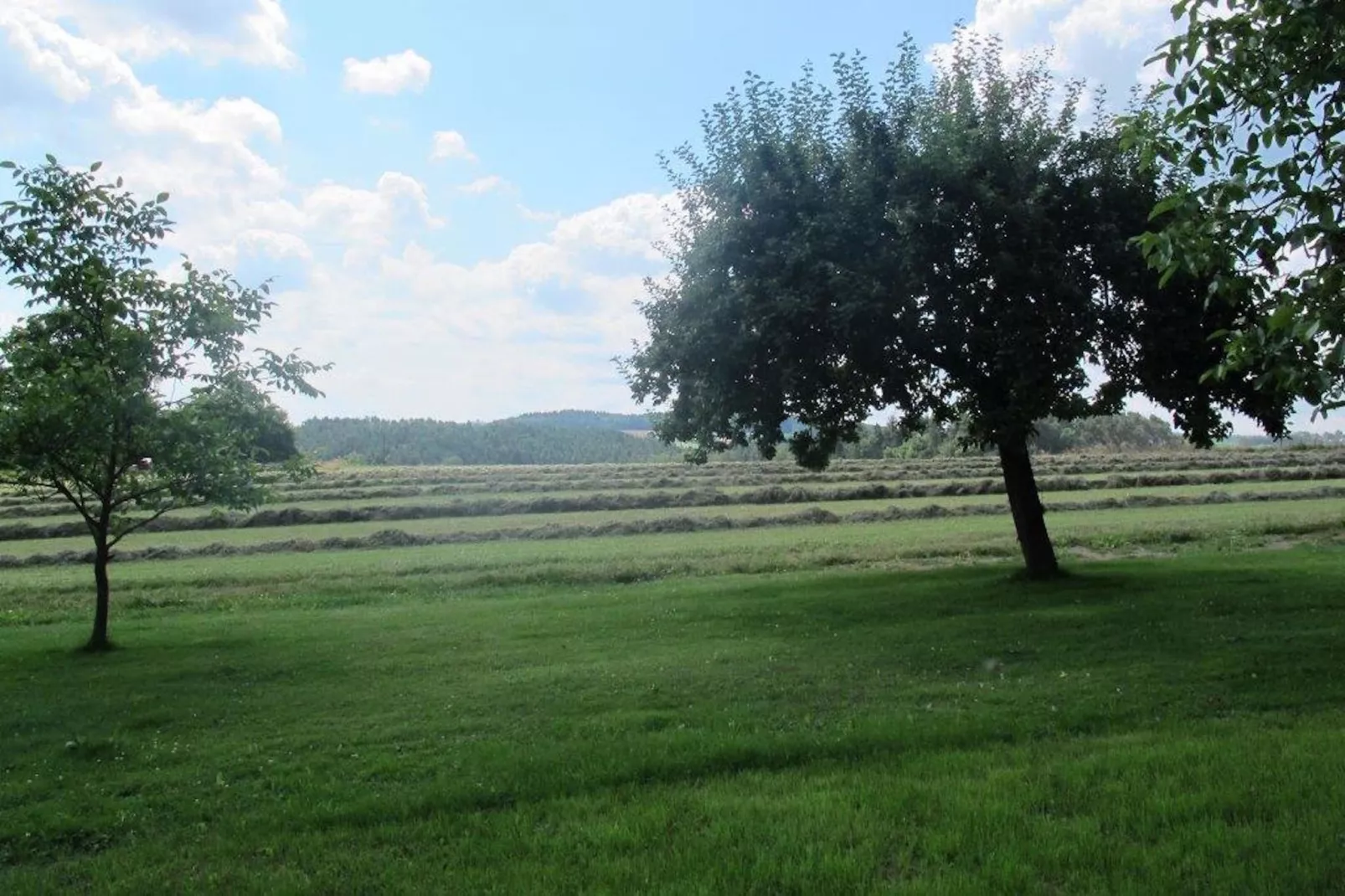 Has'n Res-Uitzicht zomer
