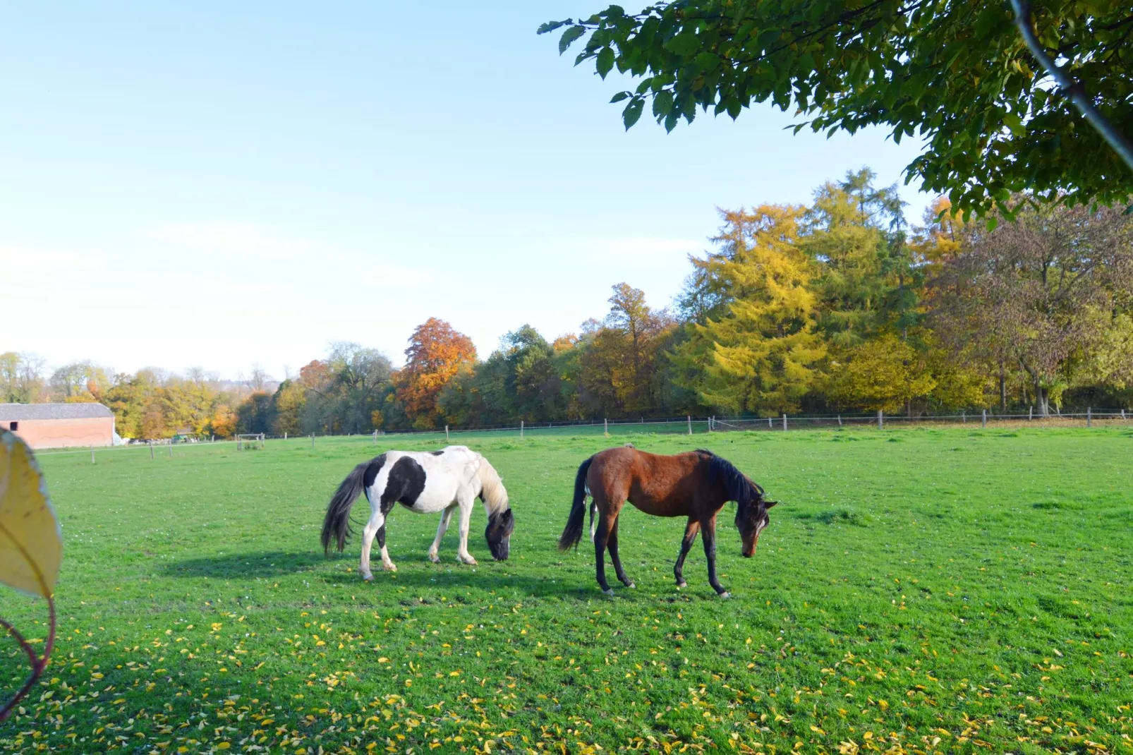 La Marquisette-Gebieden zomer 1km
