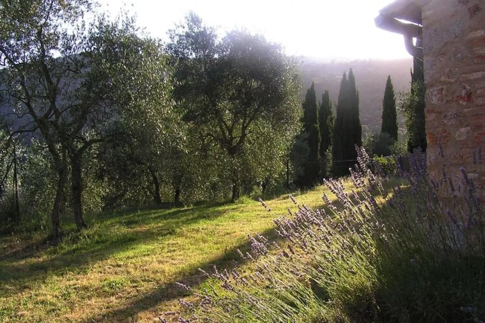Residence Il Pero di Cetinale Sovicille Typ C 105 qm-Buitenkant zomer