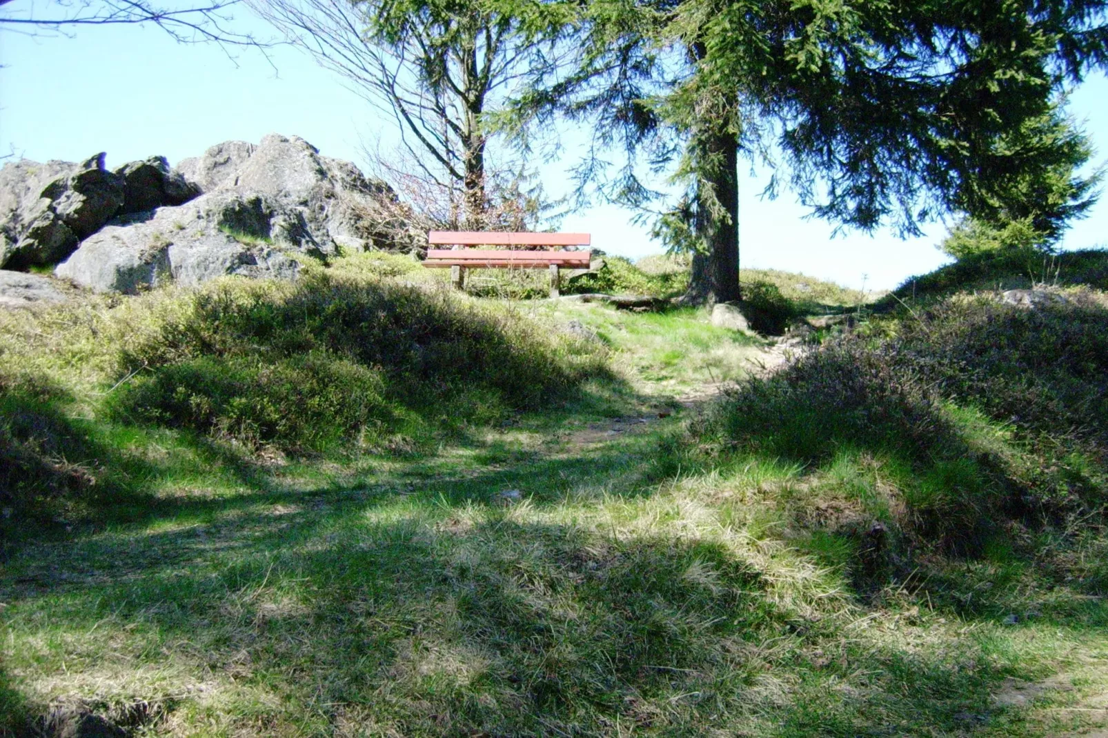Am Hochfels-Gebieden zomer 5km