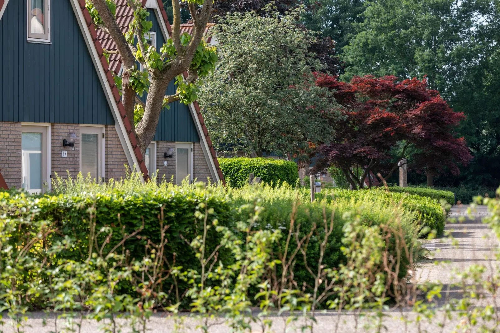 Vakantie bij Meeussen - Molendal 2