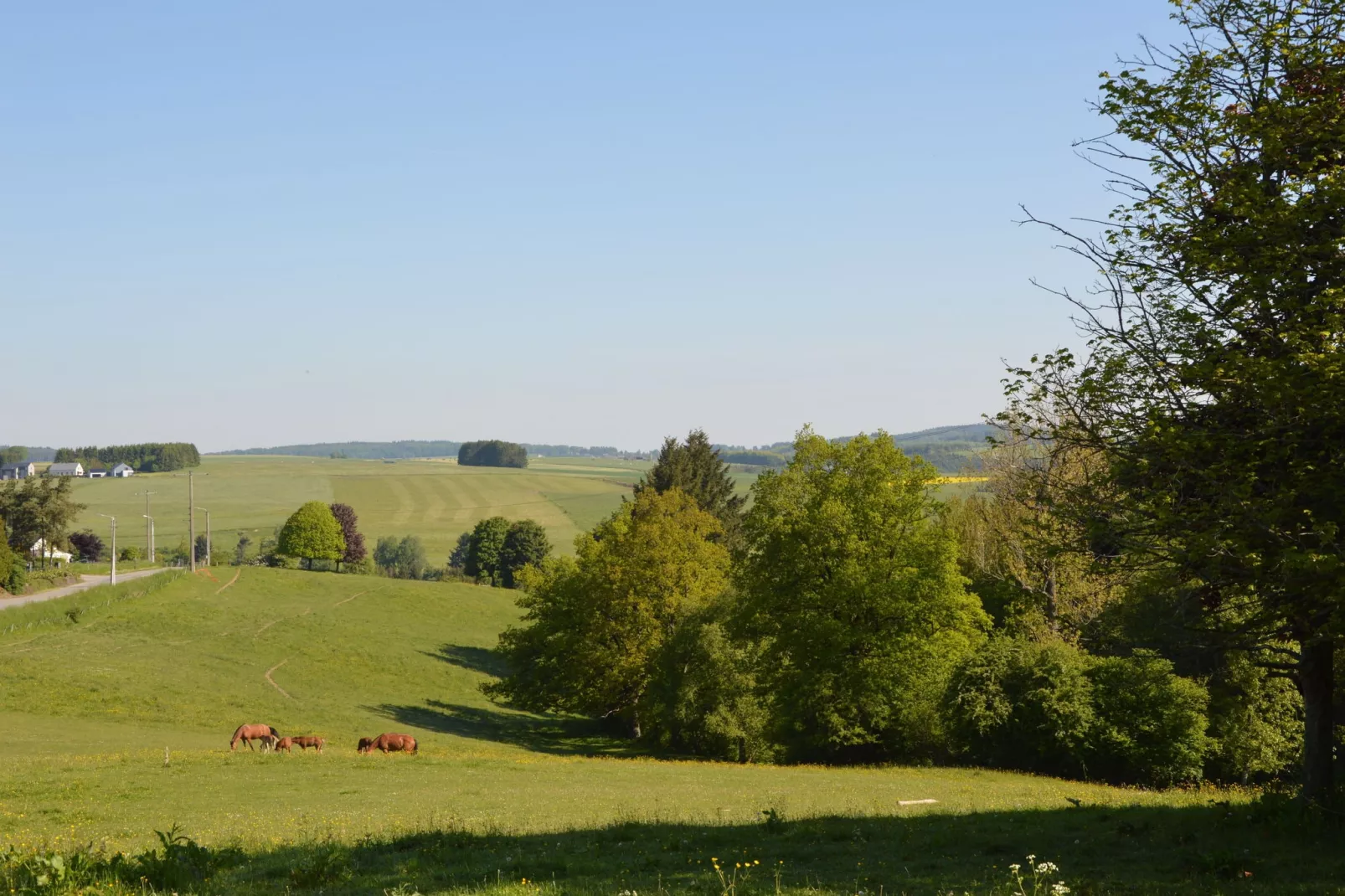 Chalet de la Vallée-Gebieden zomer 5km