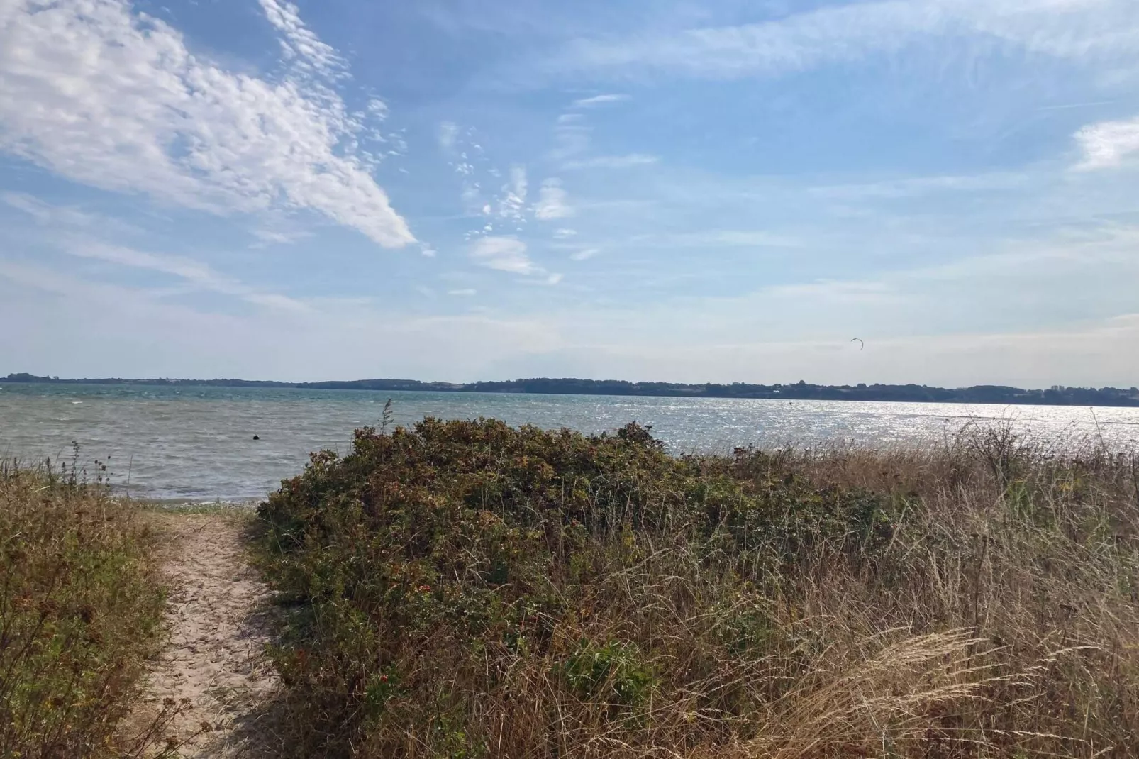 8 persoons vakantie huis in Aabenraa-By Traum-Niet-getagd