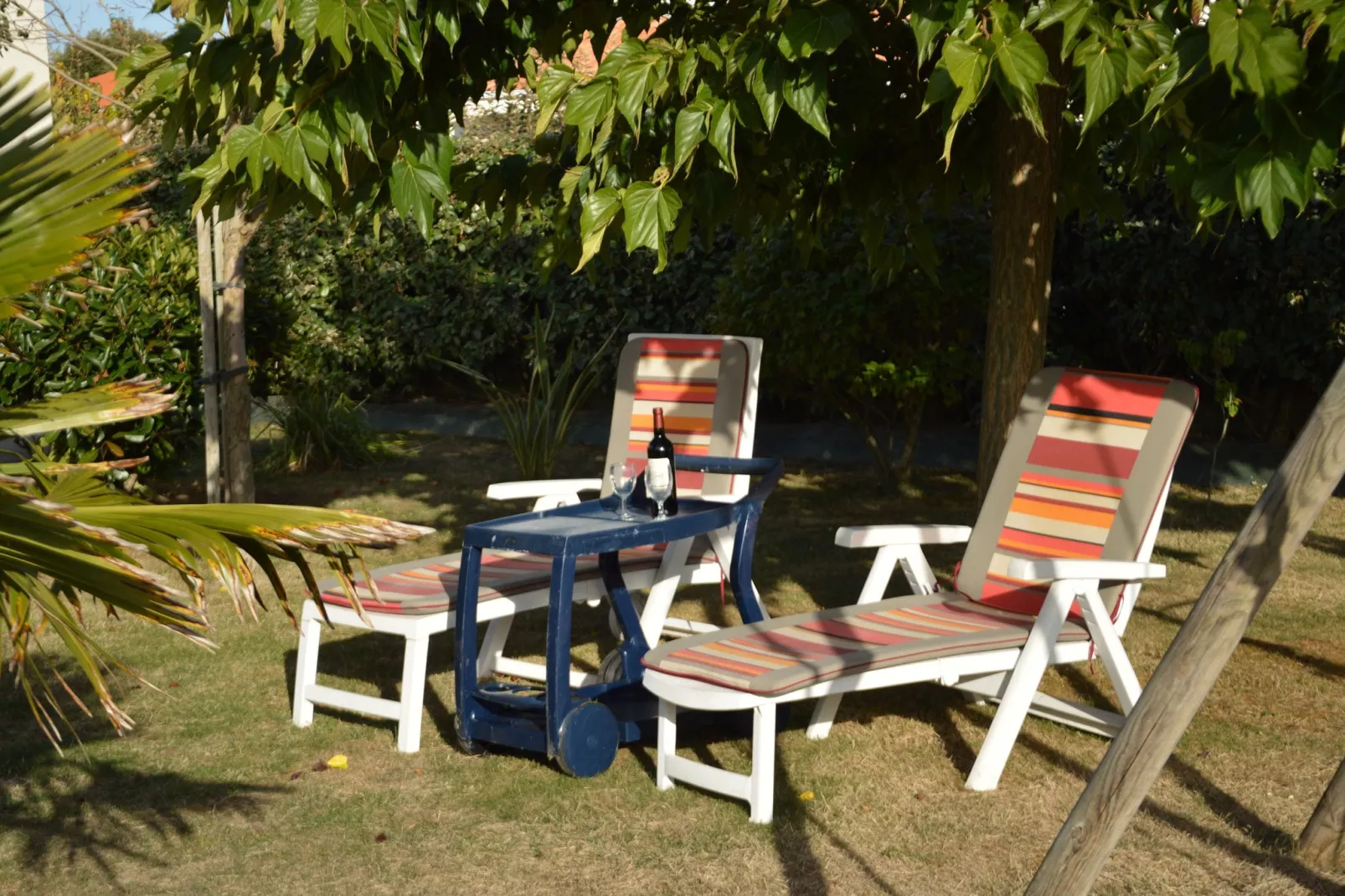 TALMONT-ST HILAIRE-Tuinen zomer