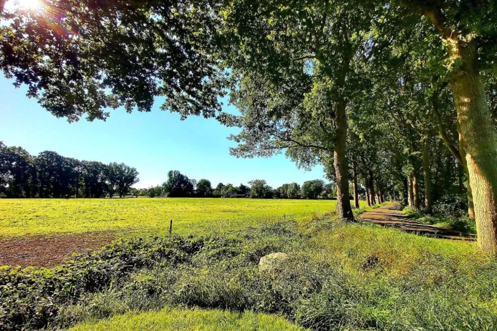 Logeerboerderijtje 'De Rietkap' Gieten-Gebieden zomer 20km