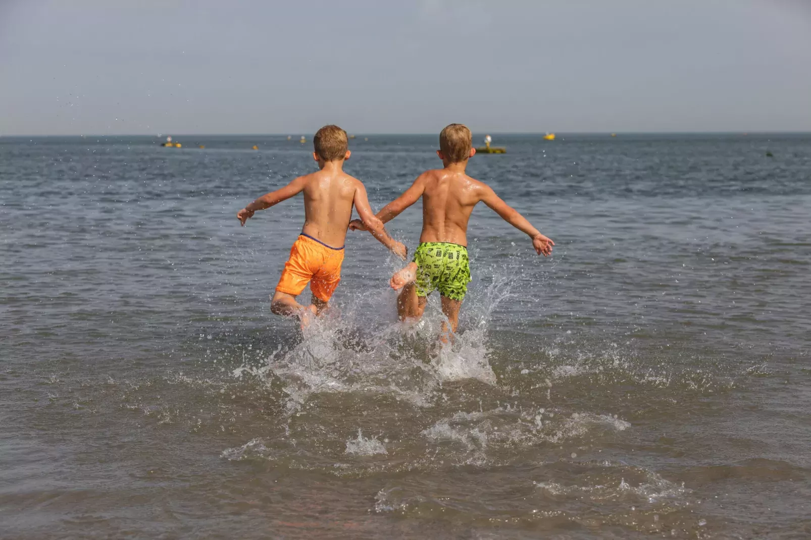 Noordzee Résidence De Banjaard 21-Gebieden zomer 1km