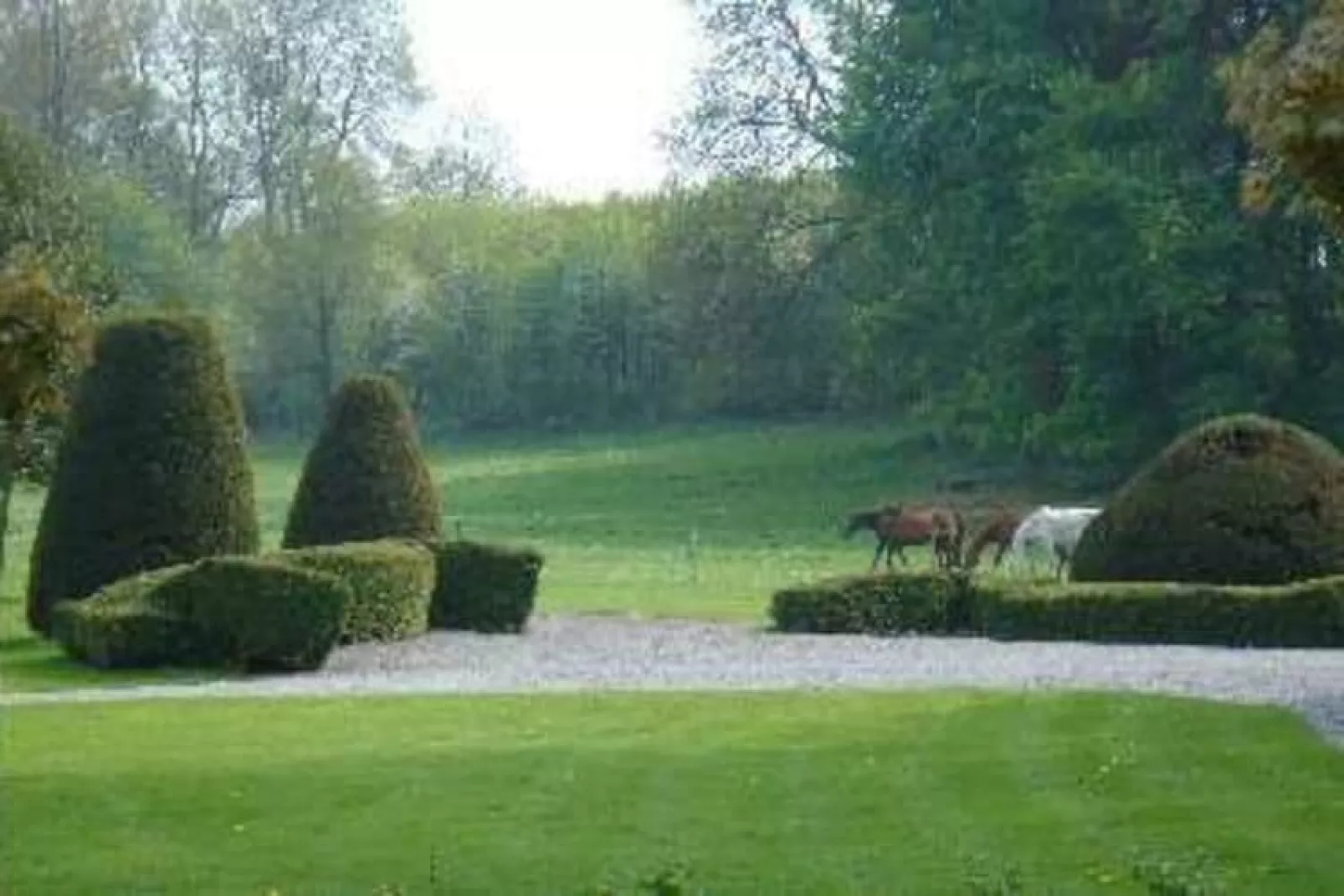 Le Clos du Château-Tuinen zomer