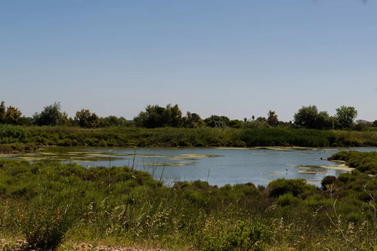 Le Domaine du Golf 9-Gebieden zomer 20km