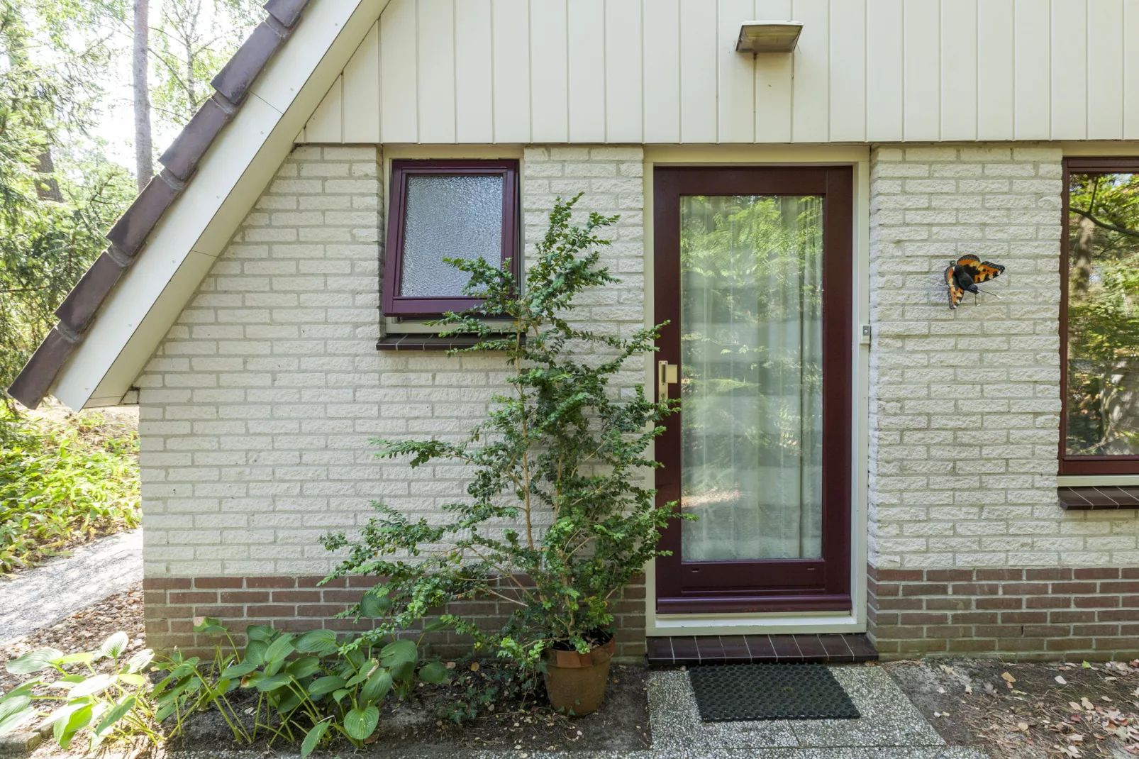 Kleine Vos-Buitenkant zomer