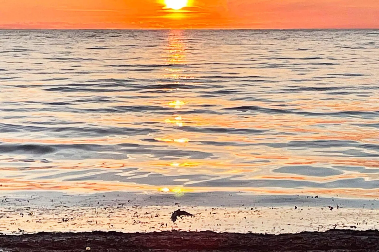 6 persoons vakantie huis in GOTLANDS TOFTA-Niet-getagd