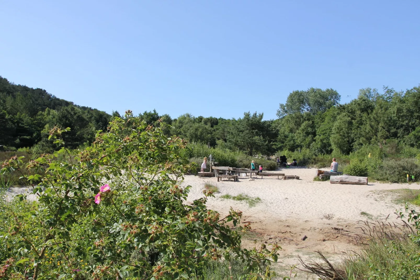 Scoreldame XL-Gebieden zomer 5km