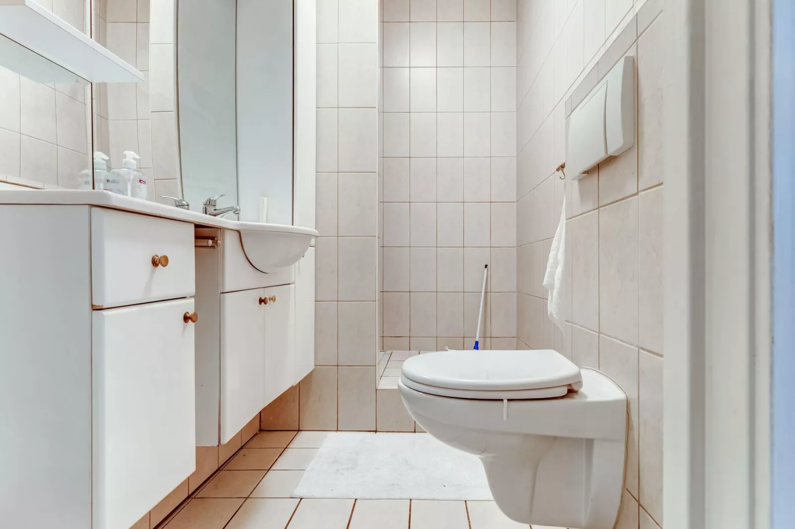 Landgoed Anna's Parck - appartement 1 - Badkamer
