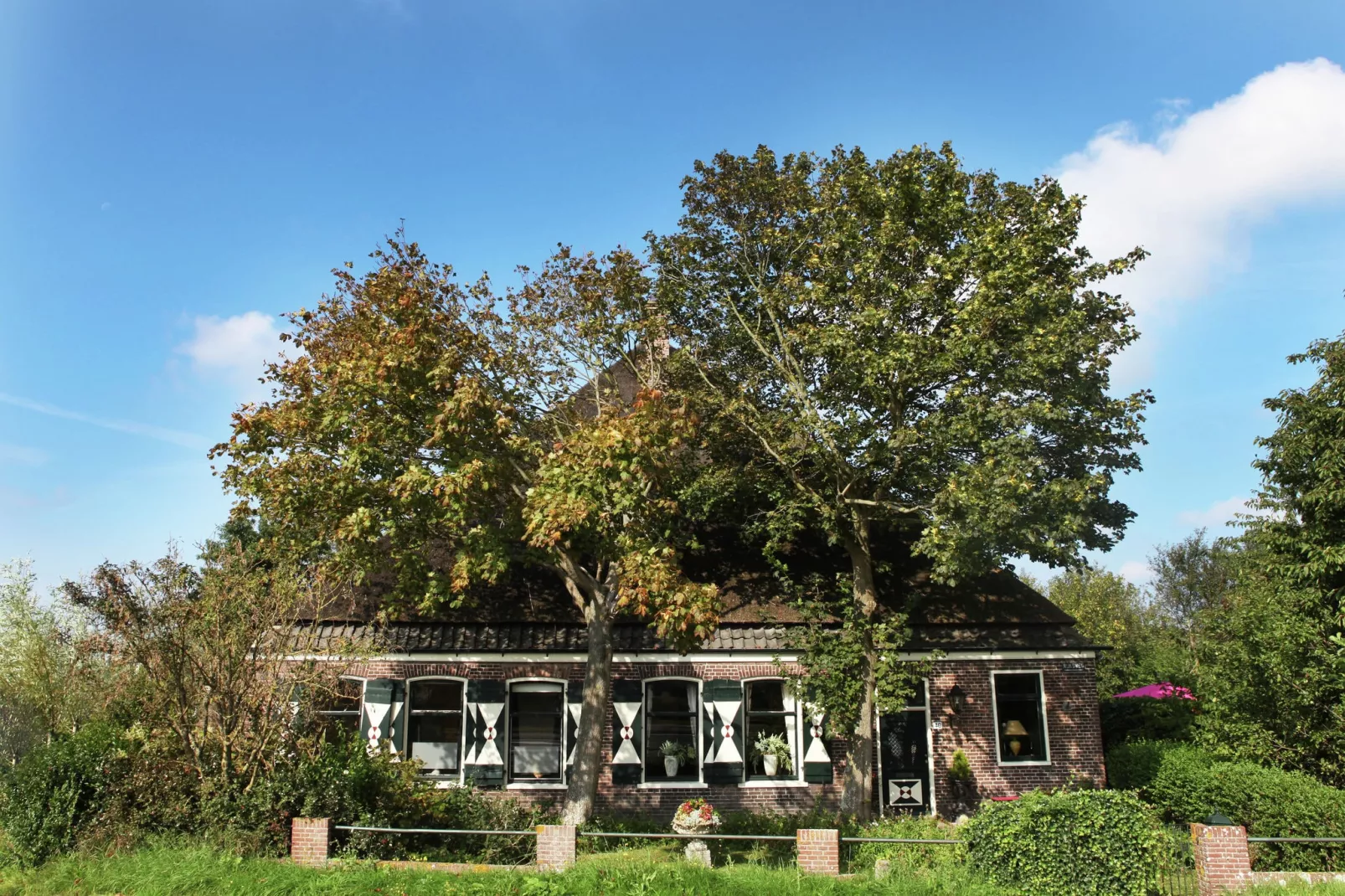 Wildrijk