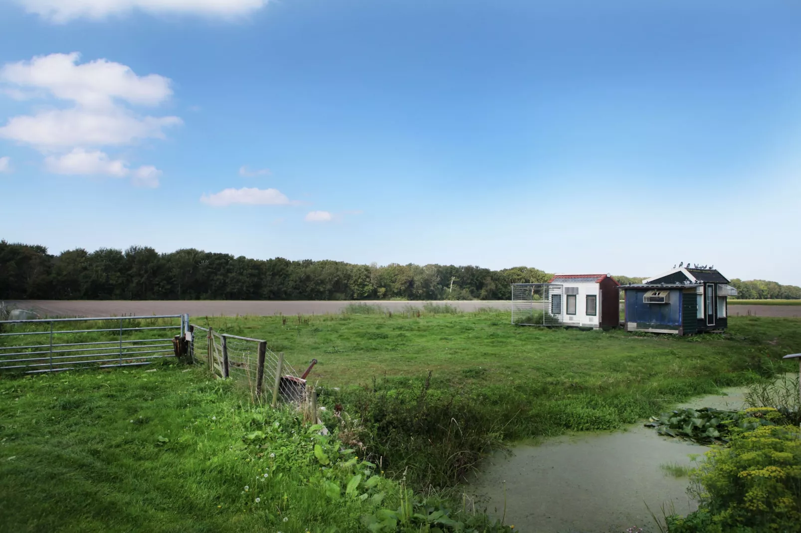Wildrijk