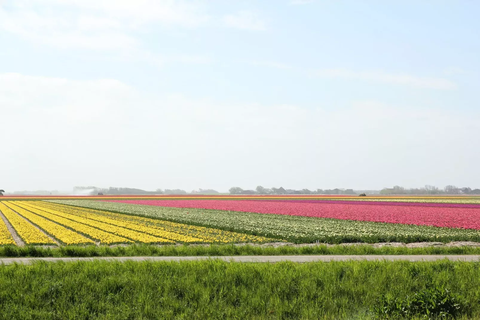 Luxe Lodge aan de Duinen-Gebieden zomer 20km