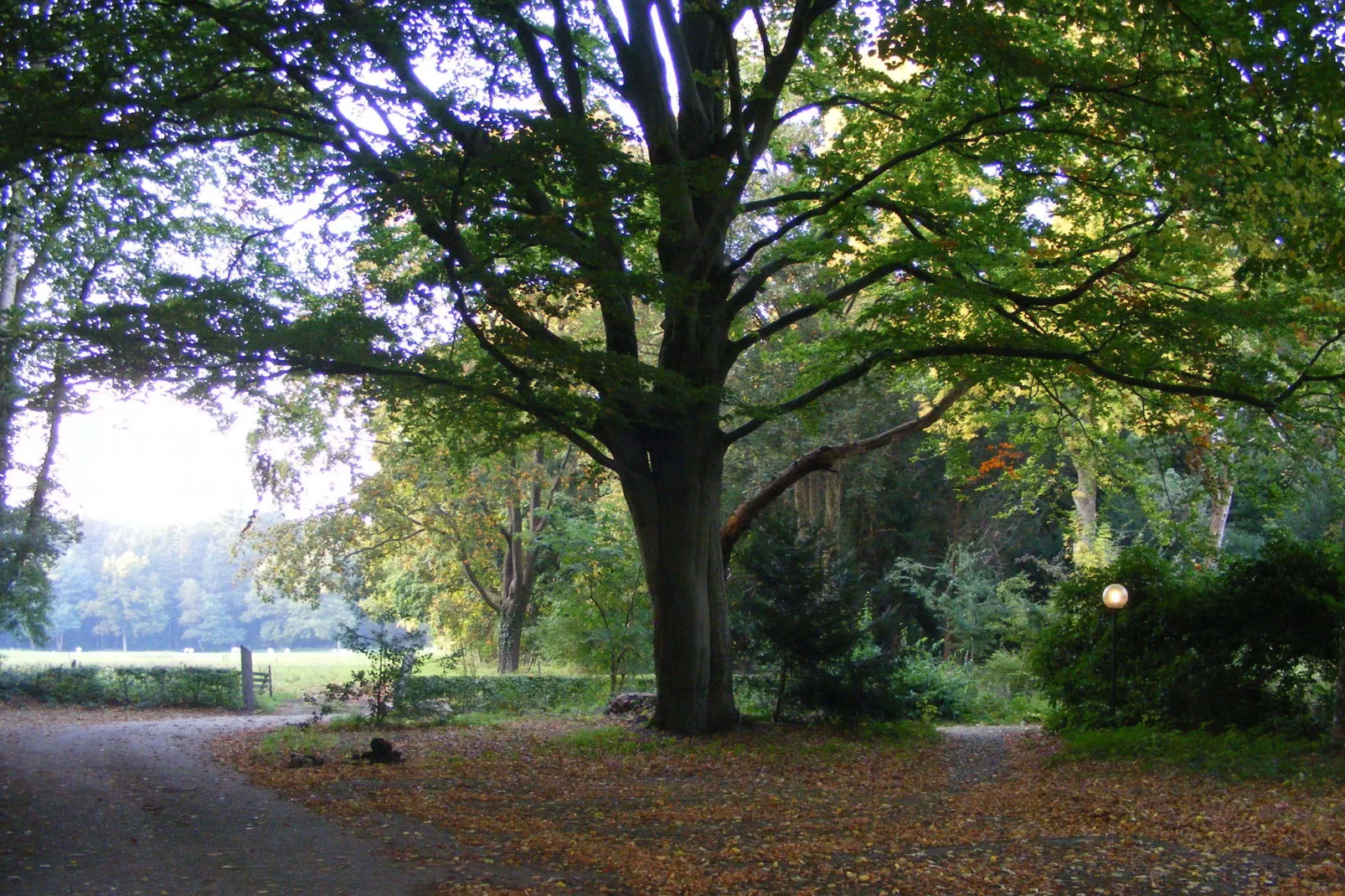 Landhuis de Linde-Gebieden zomer 5km