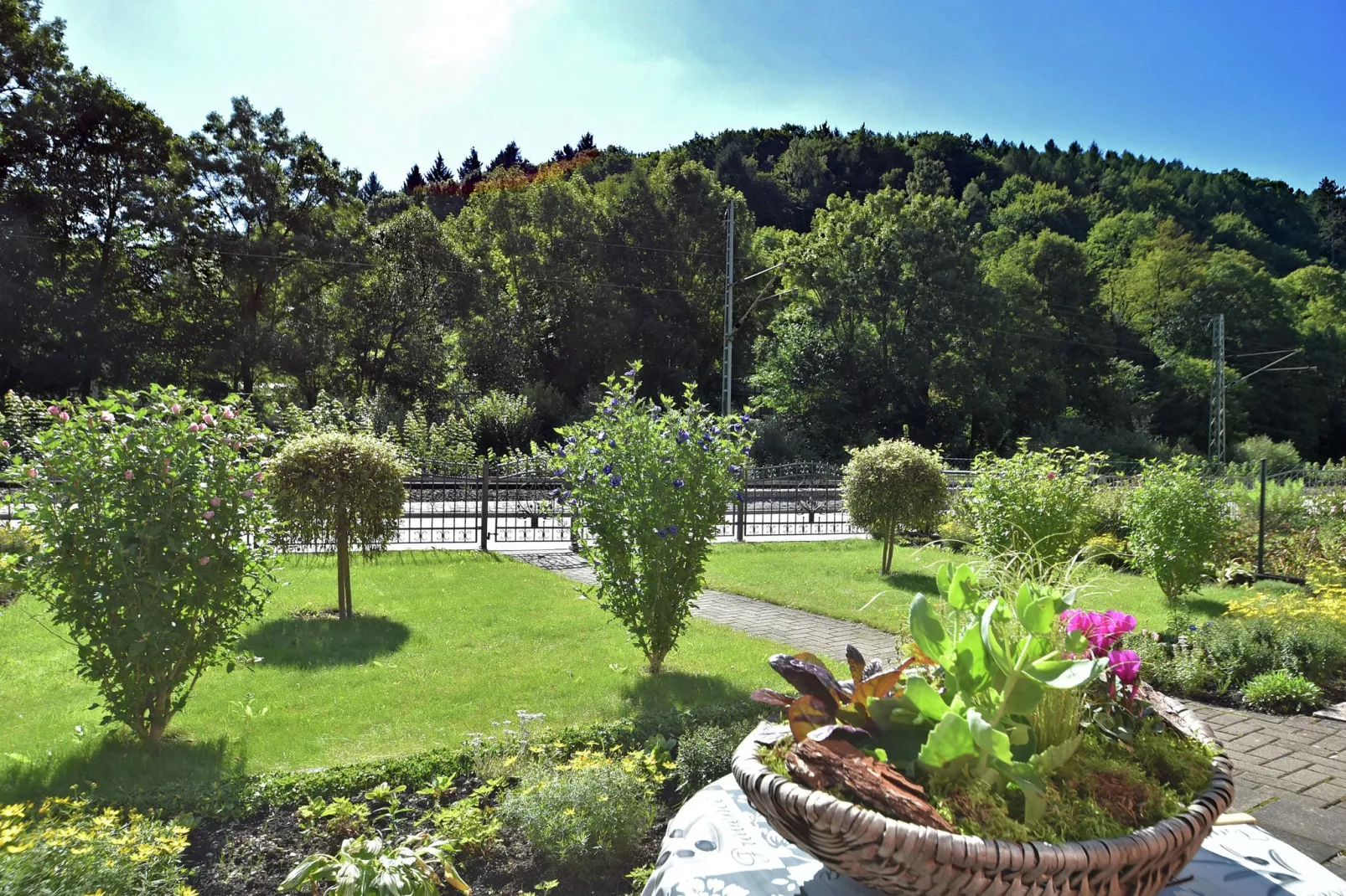 viewsummer
