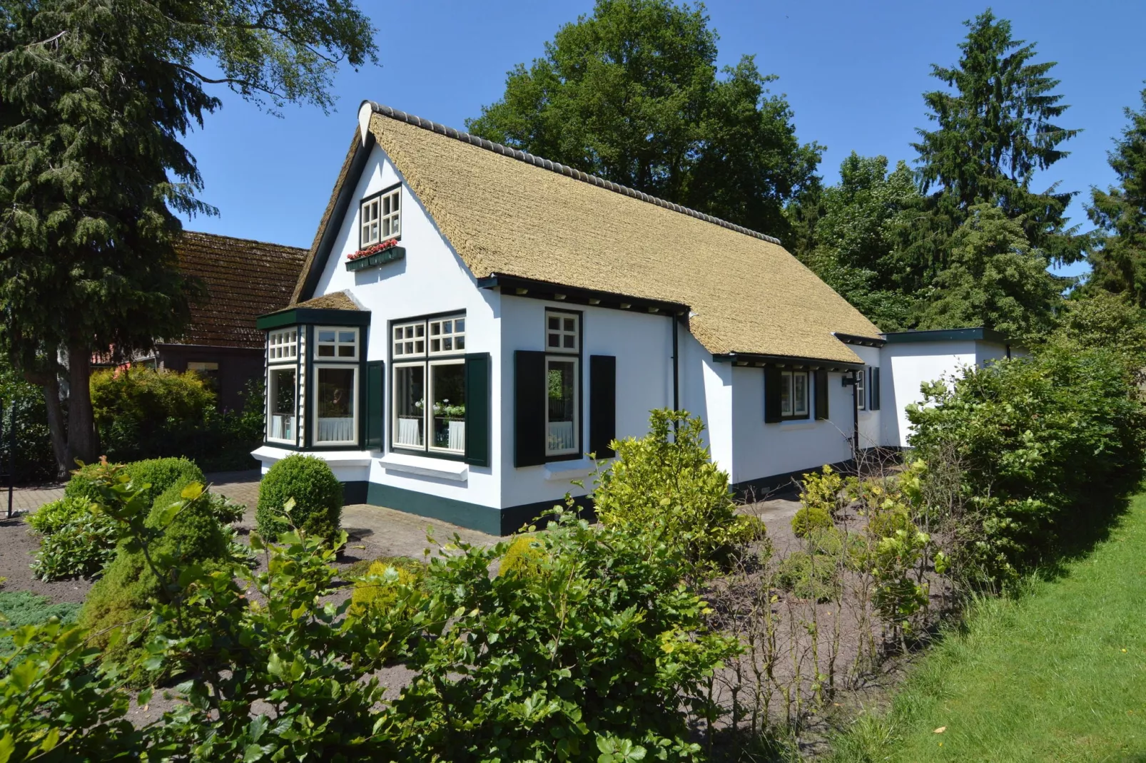 Little White Cottage