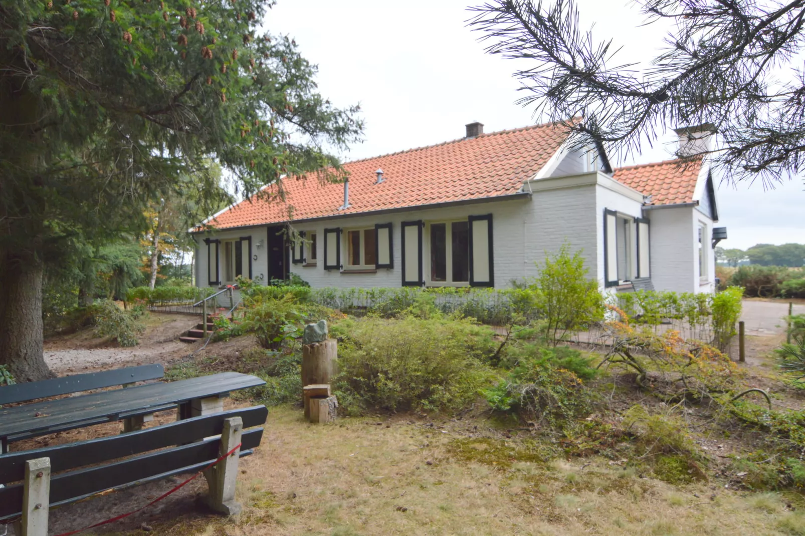 Huis in het bos-Buitenkant zomer