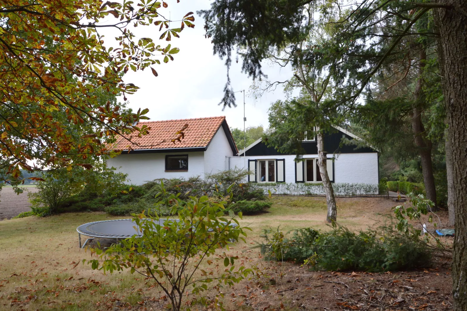 Huis in het bos-Tuinen zomer