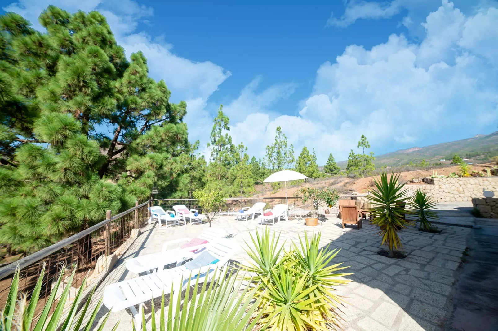Tenerife Nature Retreat-Tuinen zomer
