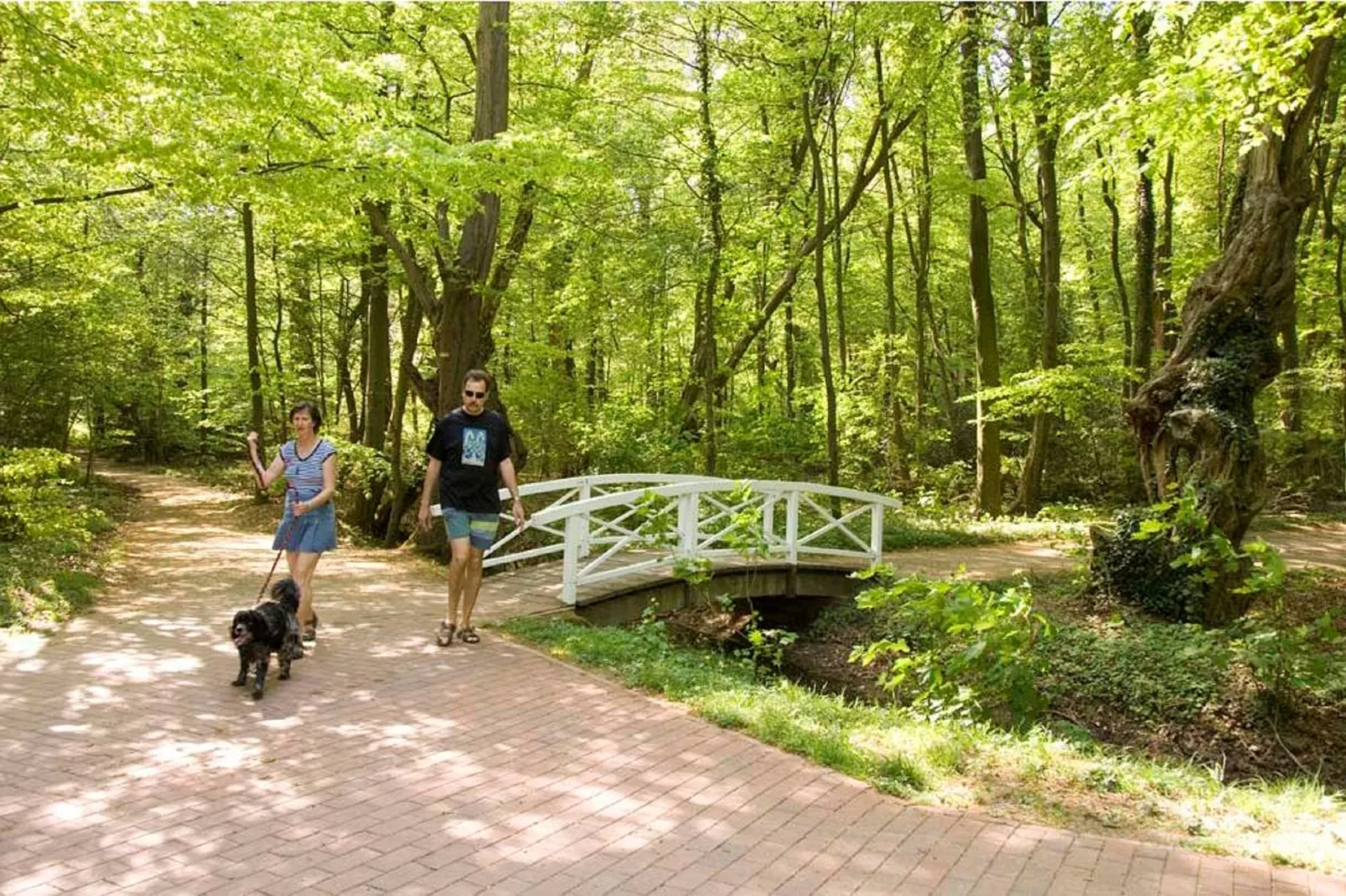 Ferienresort Bad Bentheim 2-Gebieden zomer 20km