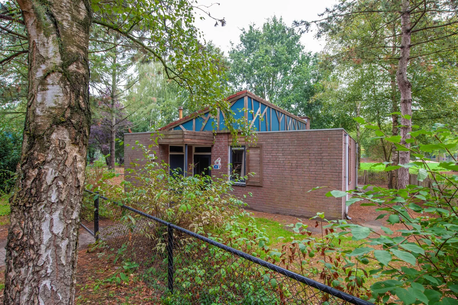Vakantiepark Weerterbergen 11
