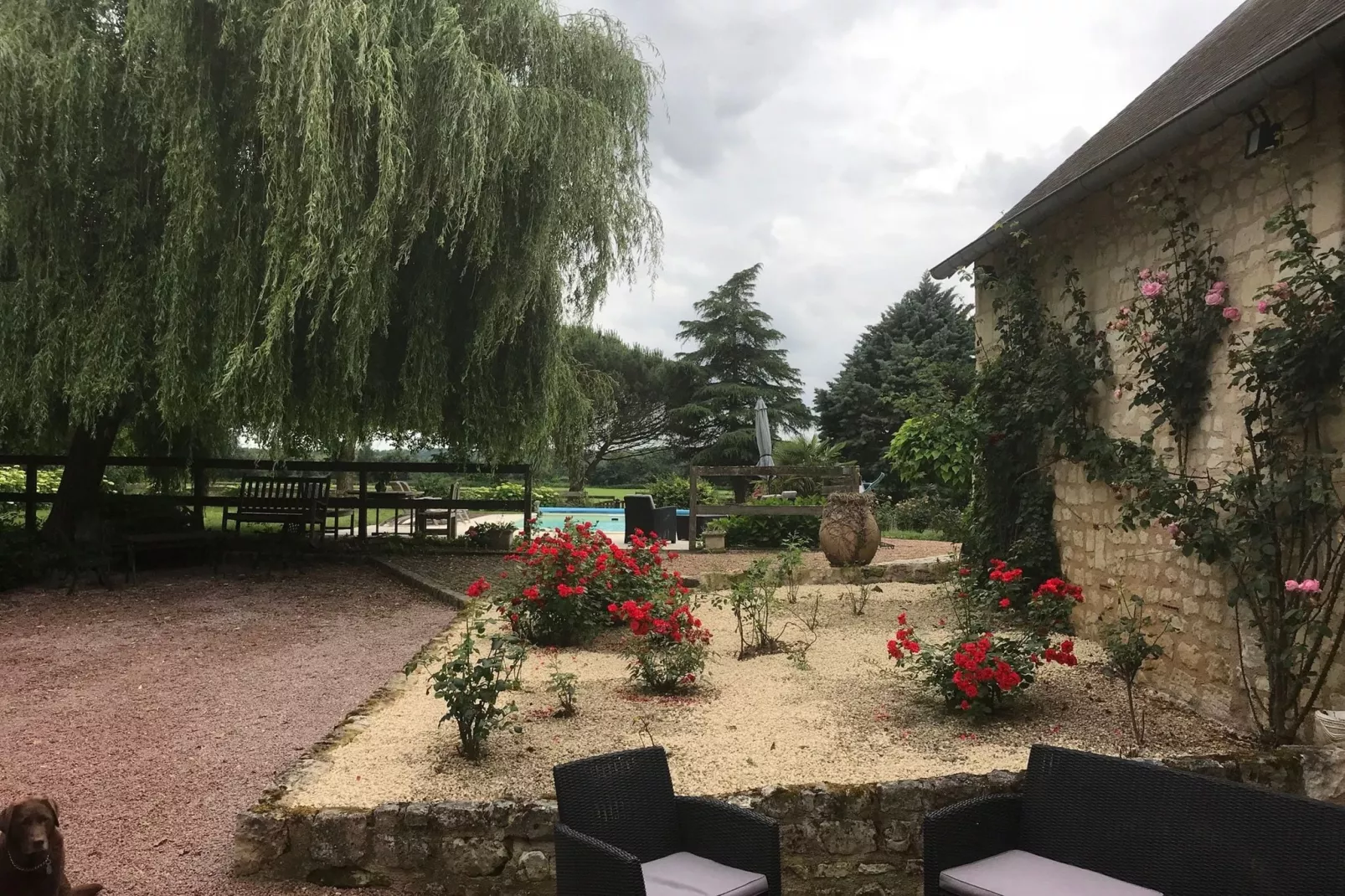Maison de vacances Cinais-Uitzicht zomer