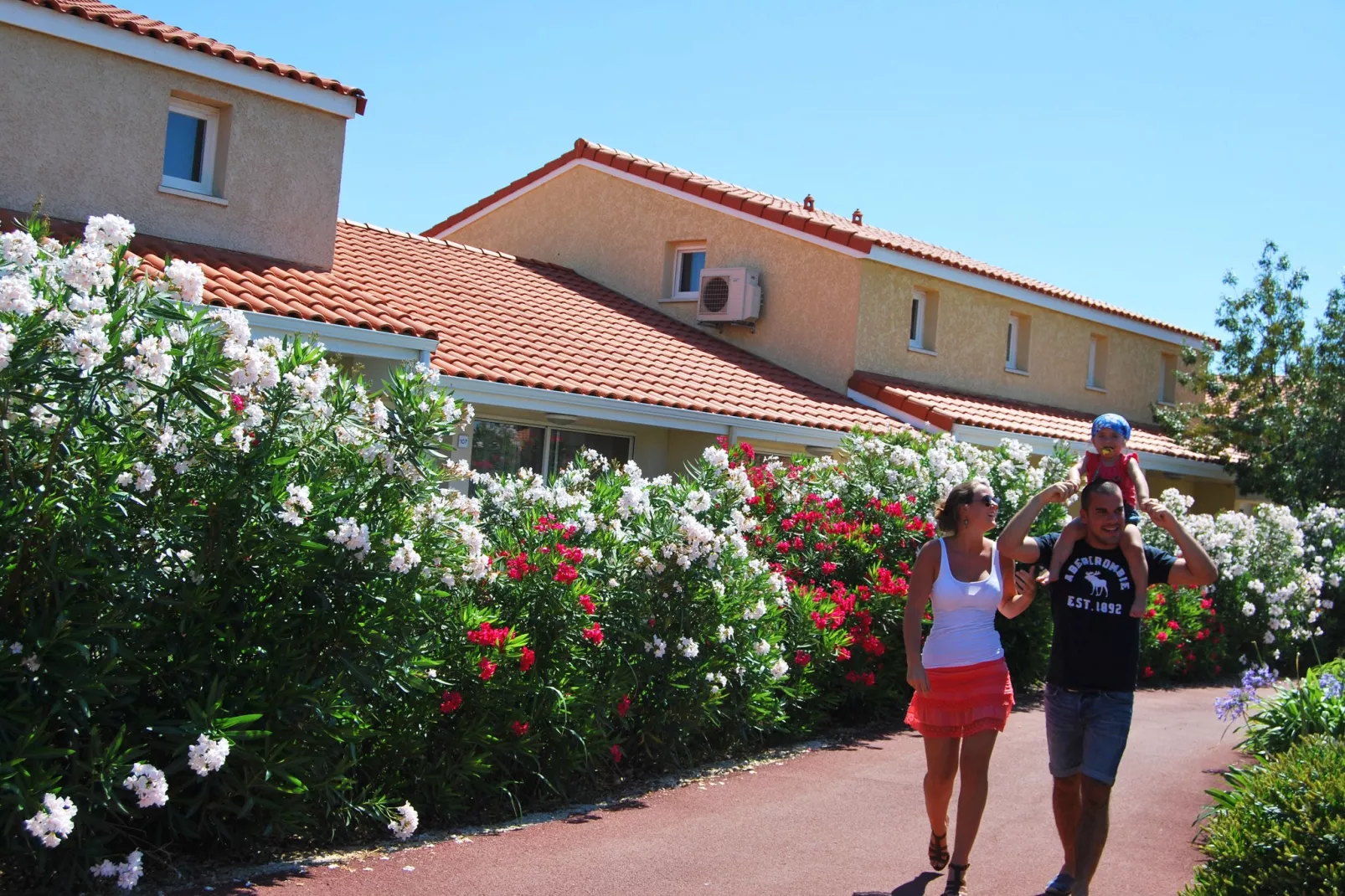 Mas de Torreilles 2-Gebieden zomer 1km