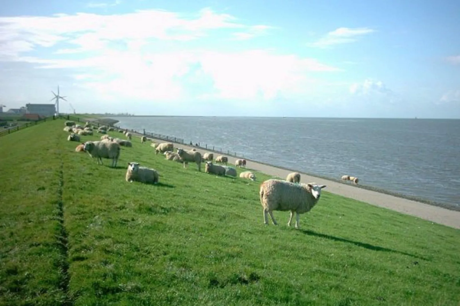 Recreatiepark de Friese Wadden 10-Gebieden zomer 5km