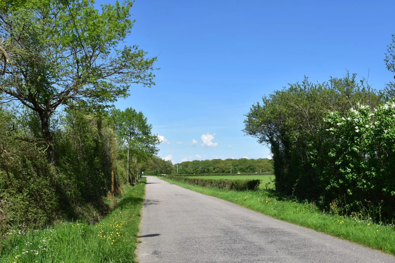 La Chantenay-Gebieden zomer 1km