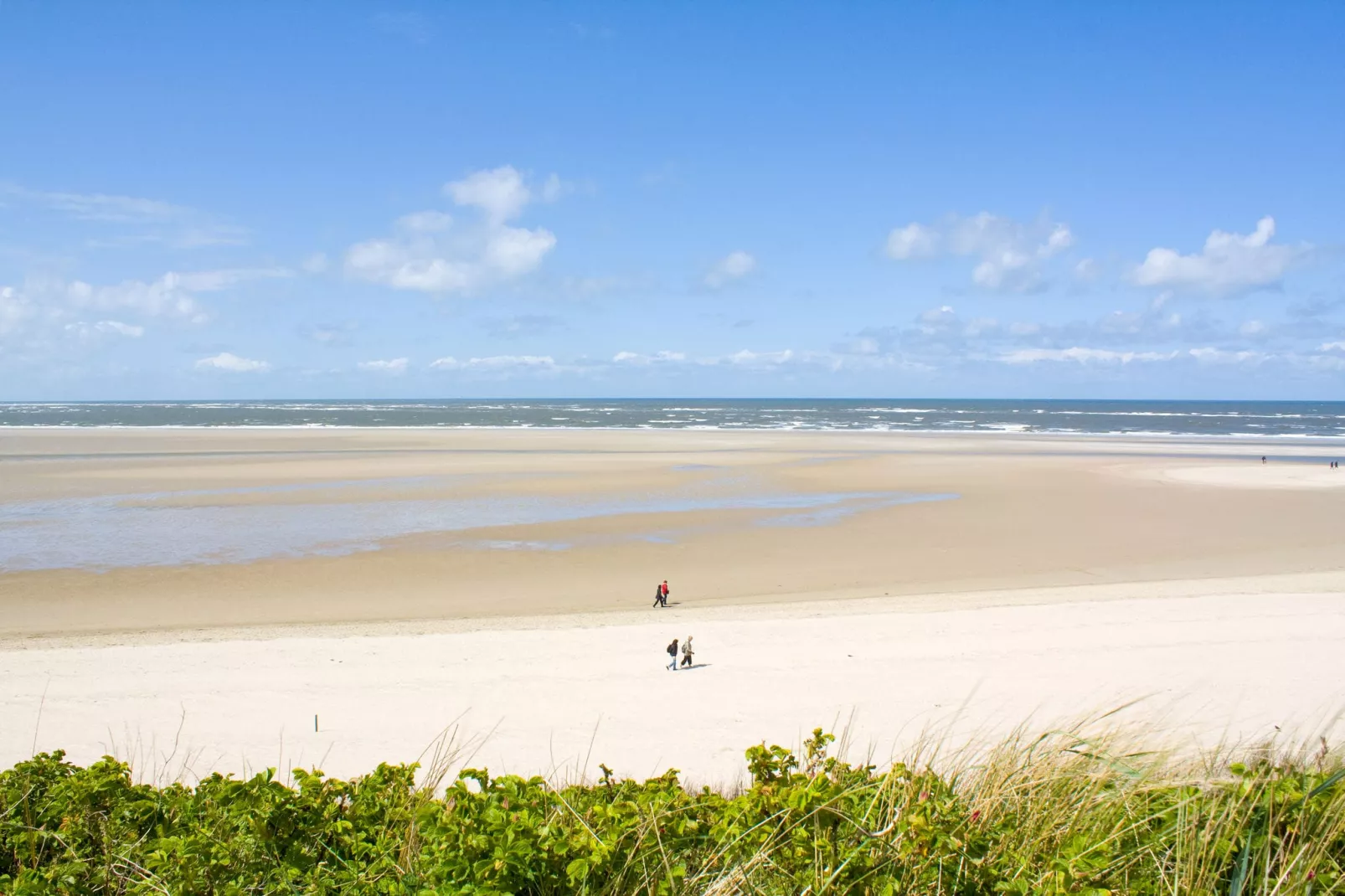 Beukenlaan 1-Gebieden zomer 5km