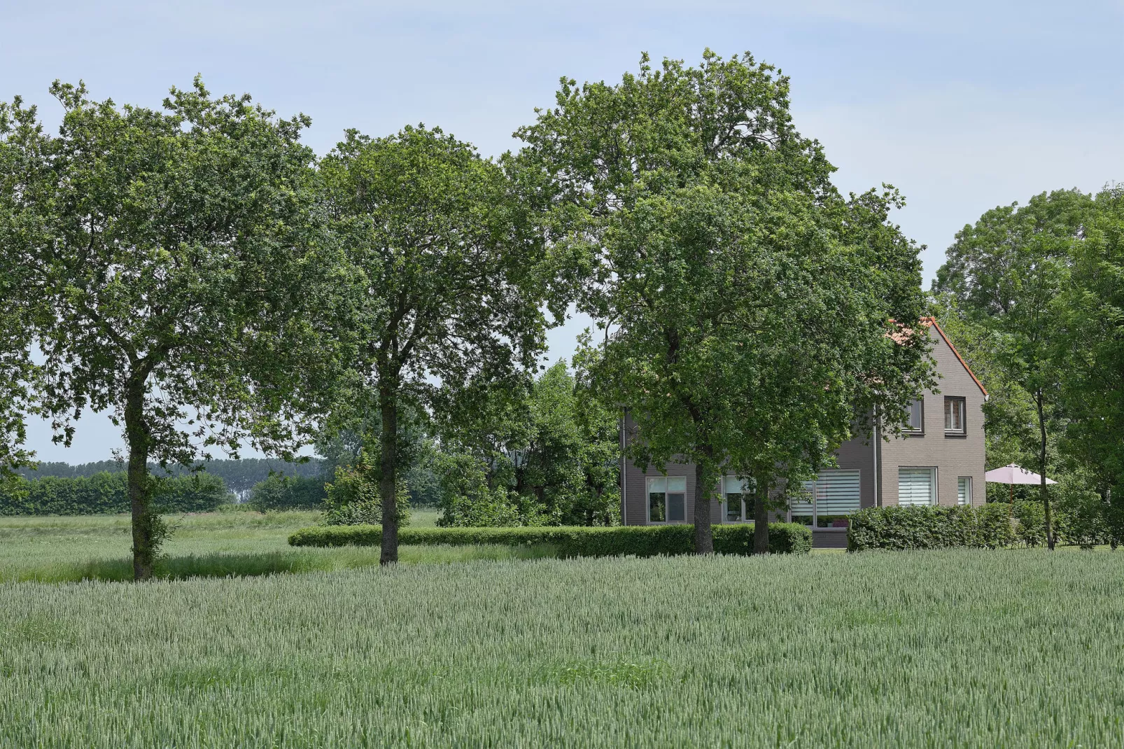 Klein Hof ter Zand-Buitenkant zomer