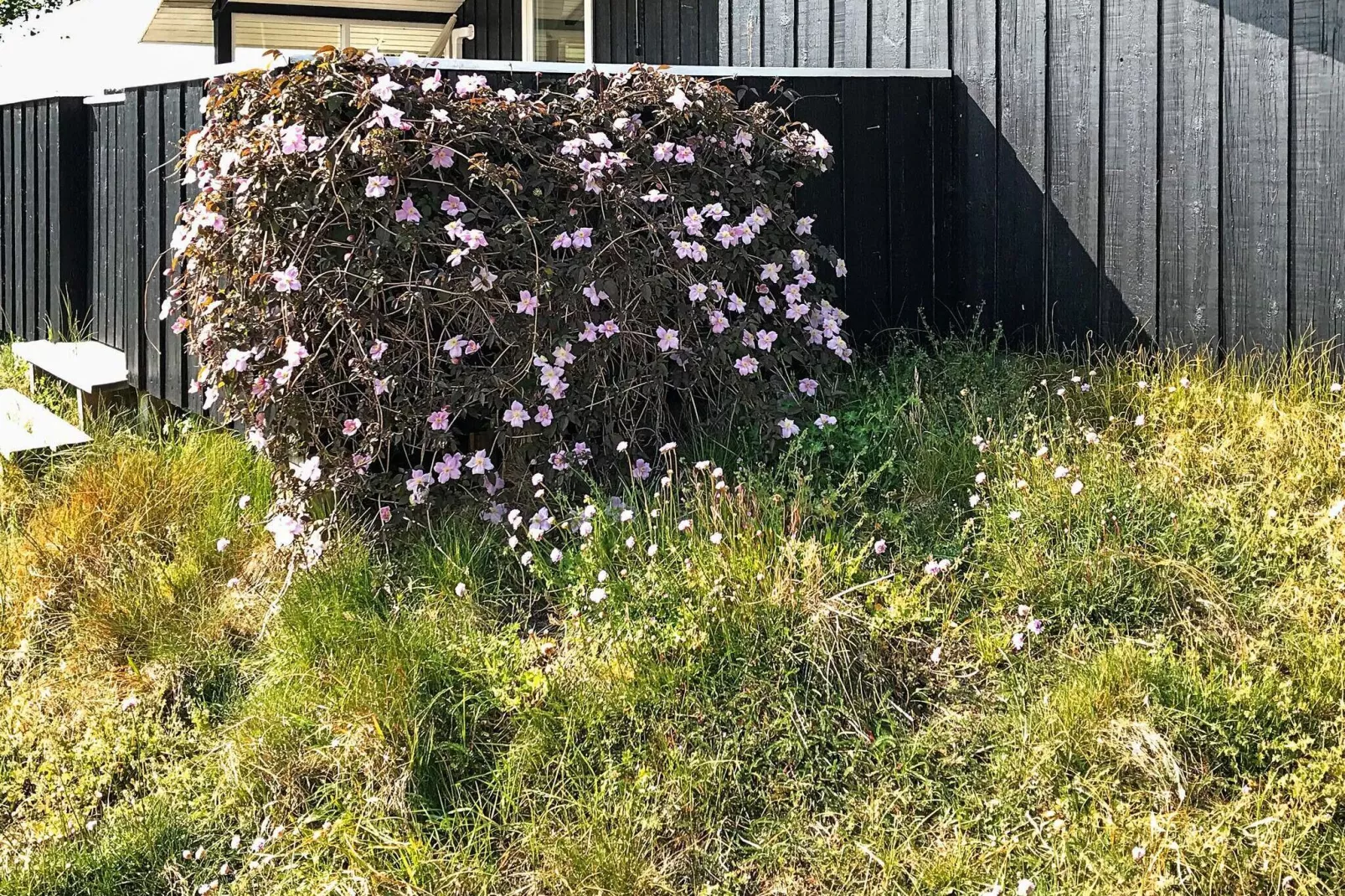 5 persoons vakantie huis in Blåvand-By Traum-Buitenlucht
