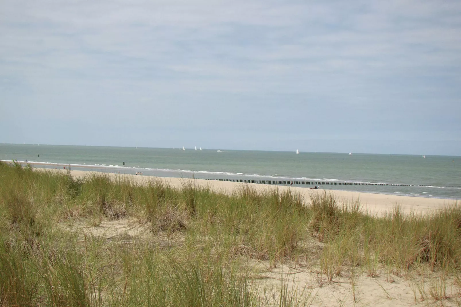 Groot Hof ter Zand-Gebieden zomer 20km