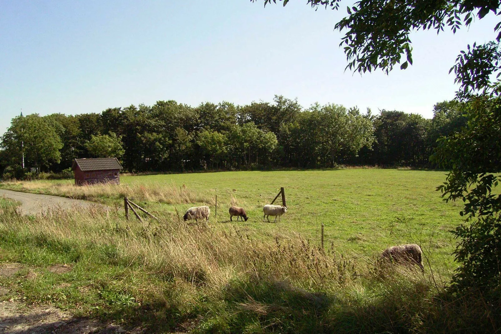 4 persoons vakantie huis in Aakirkeby-By Traum-Uitzicht